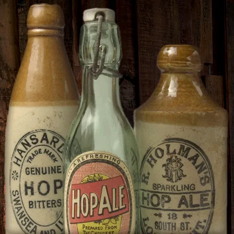 antique hops bottles