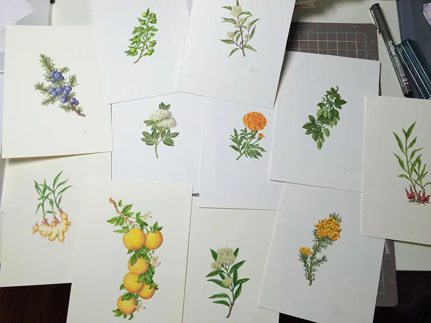 THE ILLUSTRATED BEER